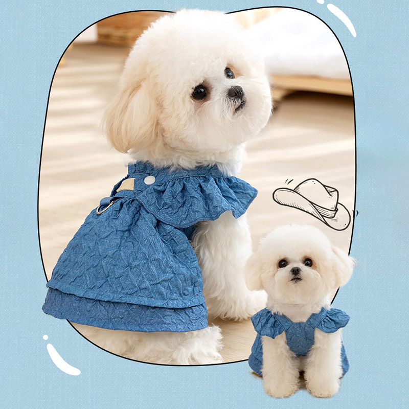 2025 Hoopreety chiot chien vêt - Summer Clothing List avis et prix