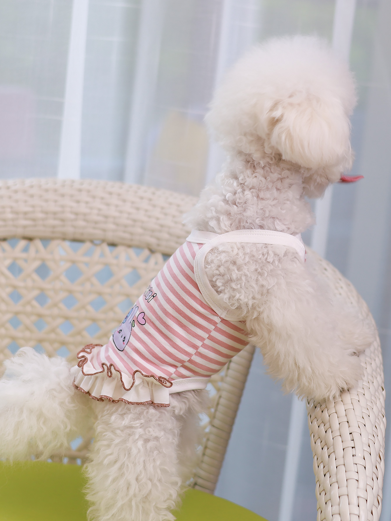 Gilet pour chien, vêtements d' - Summer Clothing Material avis et prix