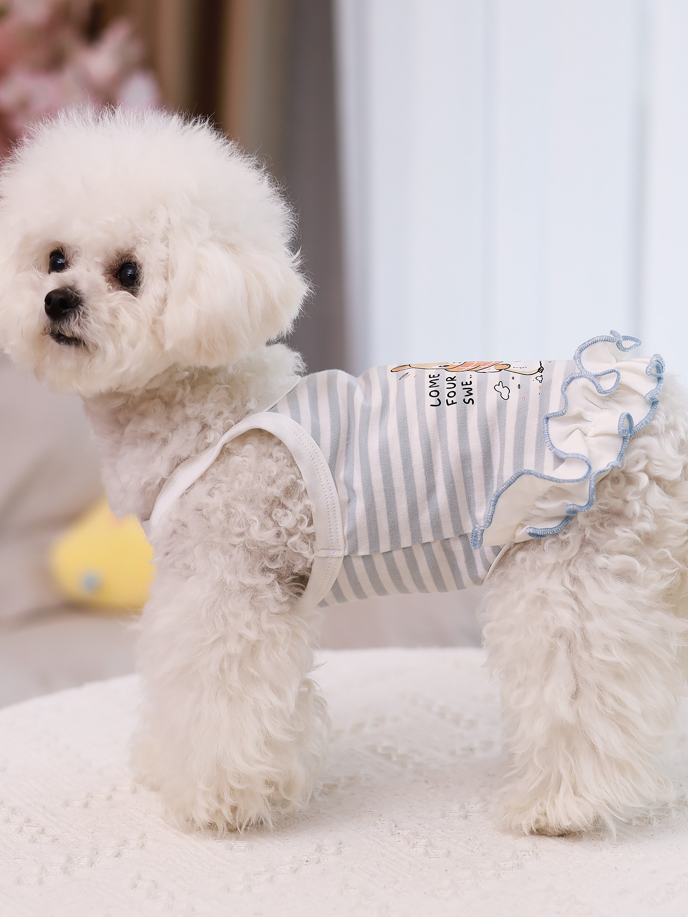 Gilet pour chien, vêtements d' - Summer Clothing Material avis et prix