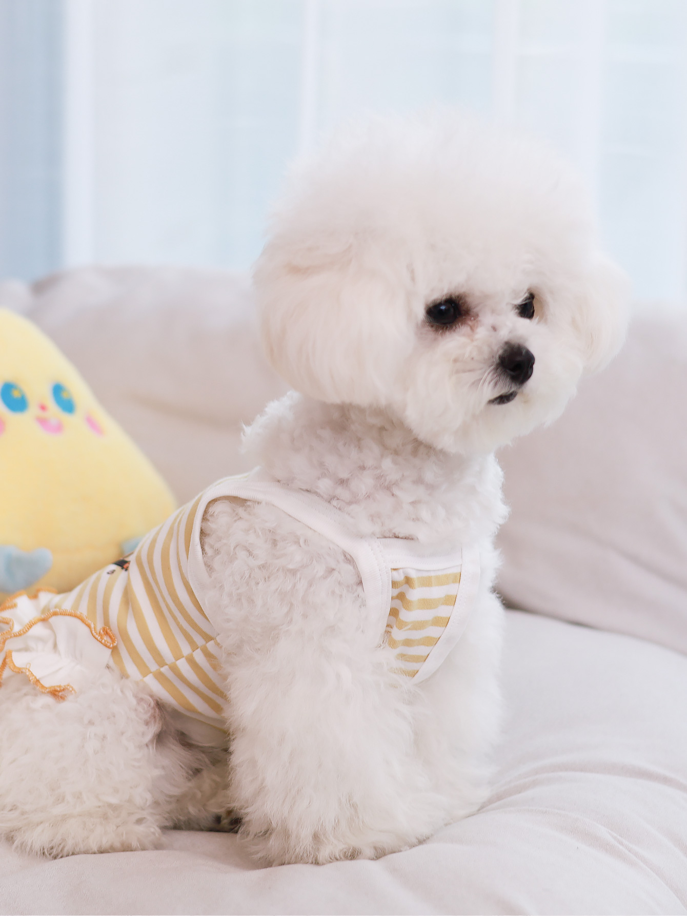 Gilet pour chien, vêtements d' - Summer Clothing Material avis et prix